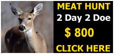 West Texas deer hunt, meat hunt