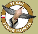 Texas Dove Hunts, texashuntingnews.com