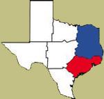 Texas Hog Hunts, texashuntingnews.com